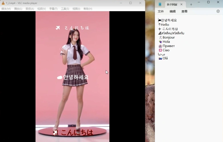 图片[2]- 批量视频文字添加工具：多国语言+表情符号，自定义字体位置-软件资源分享站